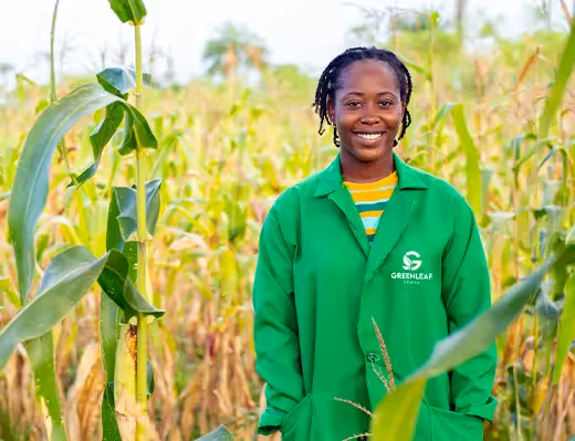 Green Leaf Kenya team members in the field