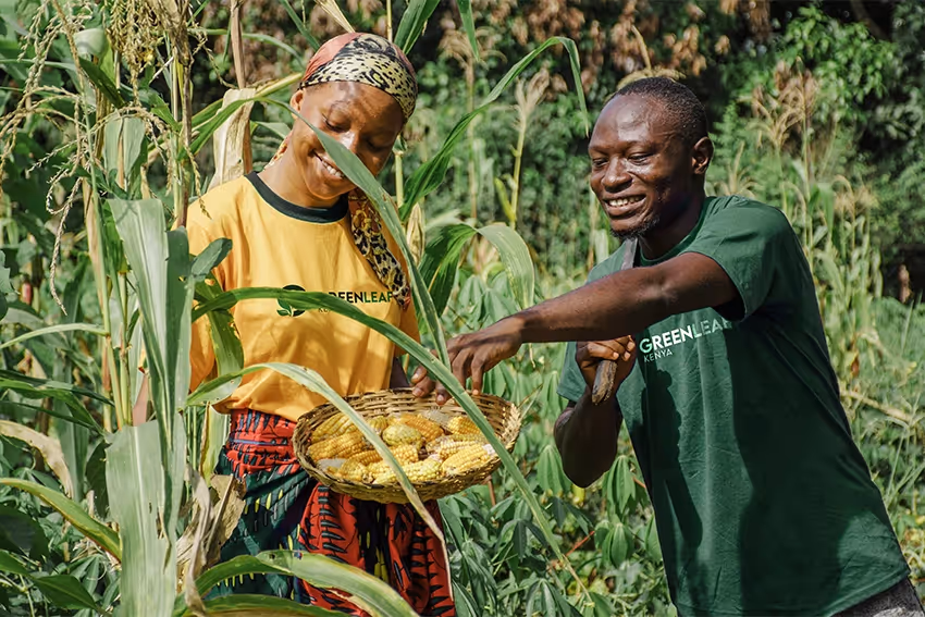 Fresh produce from a smallholder farm